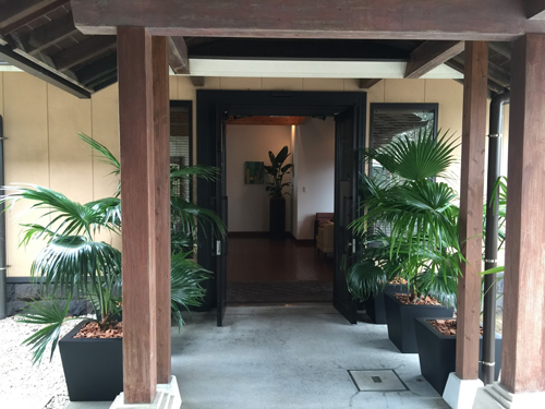 観葉植物と寄植えのレンタル
