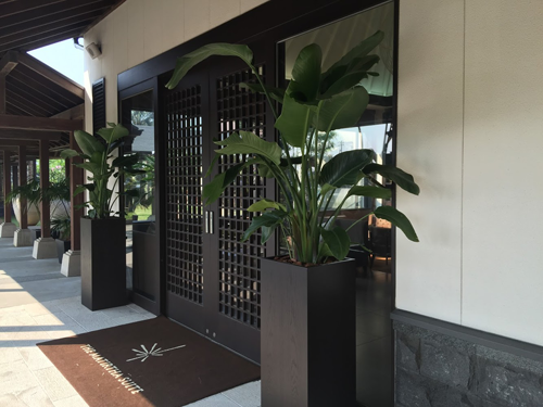 観葉植物と寄植えのレンタル