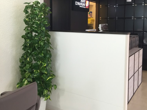 観葉植物と寄植えのレンタル