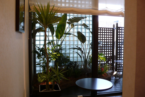 観葉植物と寄植えのレンタル
