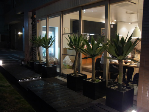 観葉植物と寄植えのレンタル