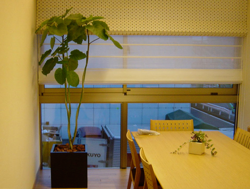観葉植物と寄植えのレンタル