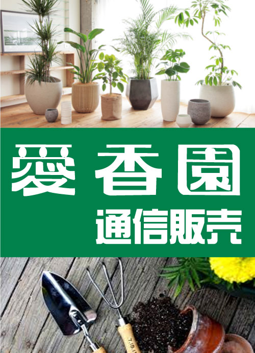 通販サイト