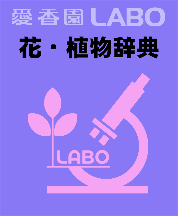 花・植物辞典