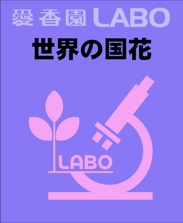 世界の国花