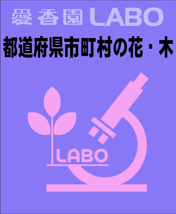 都道府県市町村の花・木