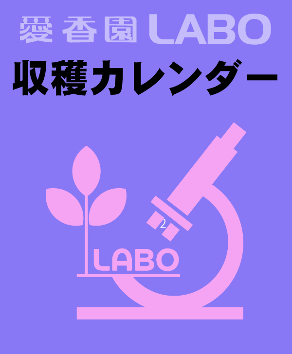 収穫カレンダー