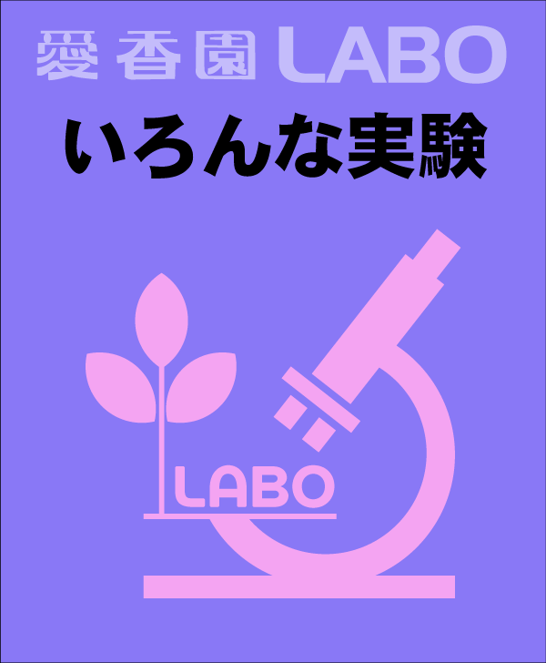 様々な実験