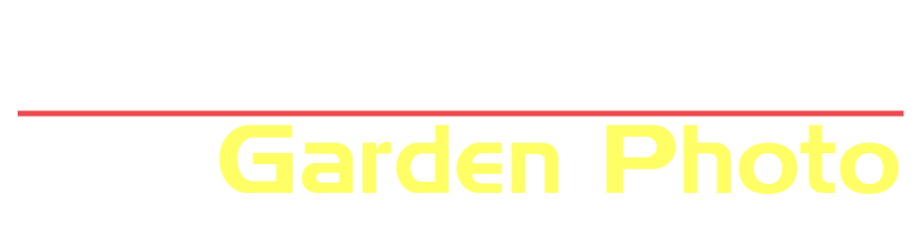 庭写真