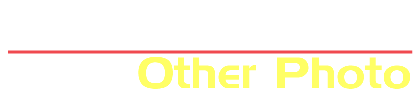 その他写真
