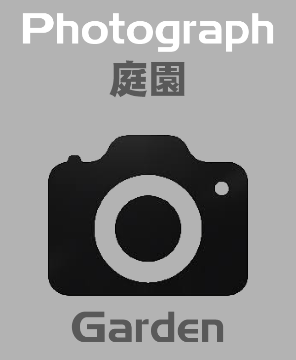 庭園写真