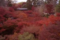 東福寺
