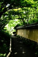 筥崎宮