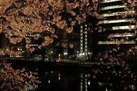 舞鶴公園
