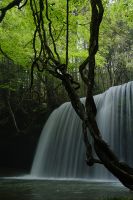 鍋ケ滝